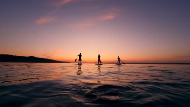 Pôr do sol águas e um grupo de jovens amigos enquanto paddlesurfing — Vídeo de Stock