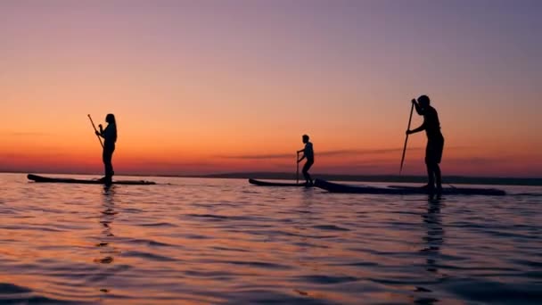 Bir grup genç arkadaş gün batımında paddleboard'lara biniyor. — Stok video