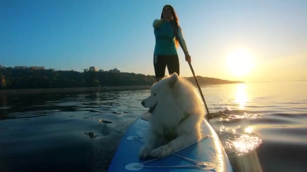 Sorridente signora sta facendo SUP con il suo cane in una vista frontale — Video Stock