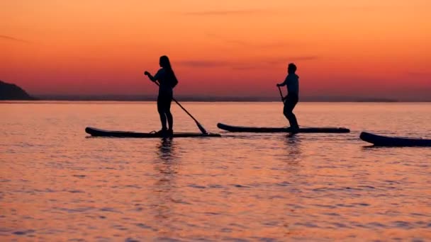 Stand-up paddleboarding dei giovani al lago del tramonto — Video Stock