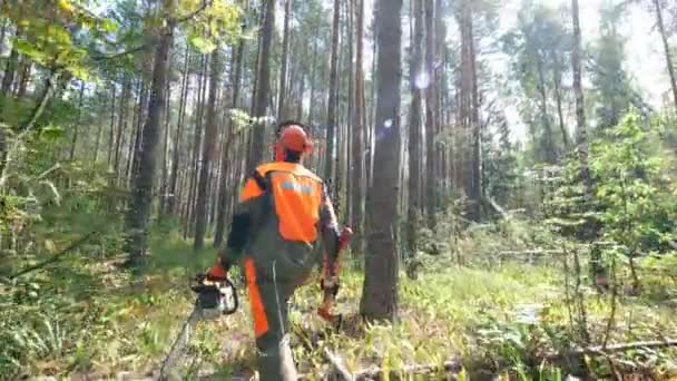 Visão traseira de um homem do machado andando entre as árvores — Vídeo de Stock