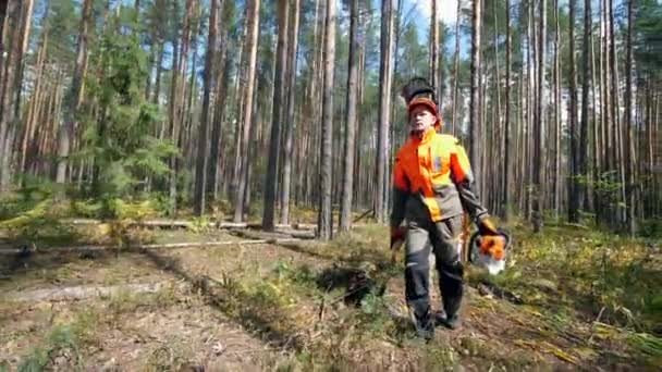 Вудмен в рабочей одежде идет по лесу — стоковое видео