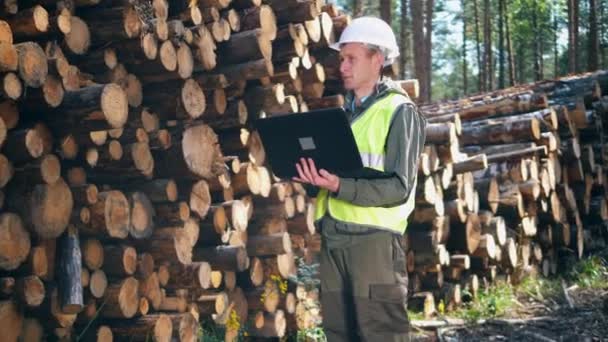 Arboles talados y un trabajador masculino operando un portátil cerca de ellos — Vídeo de stock