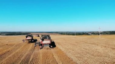 Birçok kombine makine bir alanda çalışır. Biçermecilerin çalışmasını birleştirin.