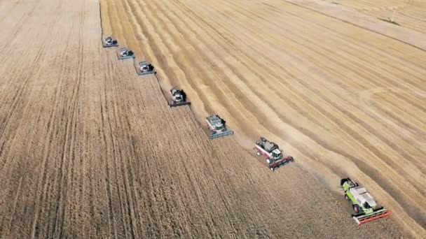 Erntekonzept. Maschinen pflügen ein Feld und ernten Getreide. — Stockvideo