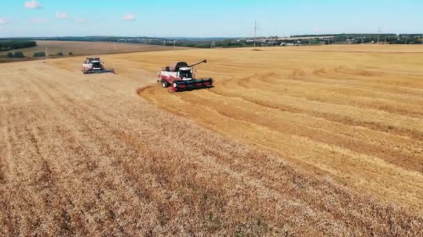 2つのコンビナラが畑で小麦を耕す。航空写真. — ストック動画