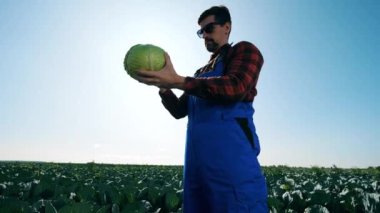 Tarım uzmanı lahana tutuyor, kontrol ediyor..