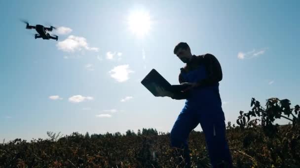 Ein Landarbeiter setzt Drohne bei der Arbeit auf einem Feld ein. — Stockvideo