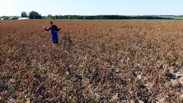 농학자인 남성 농학자, 들판에서 농작물을 살펴보고 있다. — 비디오