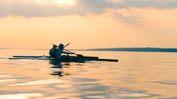 Повільне веслування на веслуванні на озері заходу сонця — стокове відео
