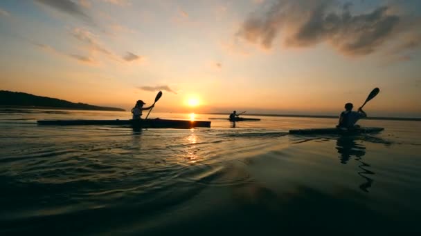 Sportovci jezdí na kanoích přes jezero západu slunce — Stock video