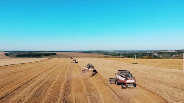 Mähdrescher pflügt ein Feld auf einem Bauernhof. Erntekonzept. — Stockvideo