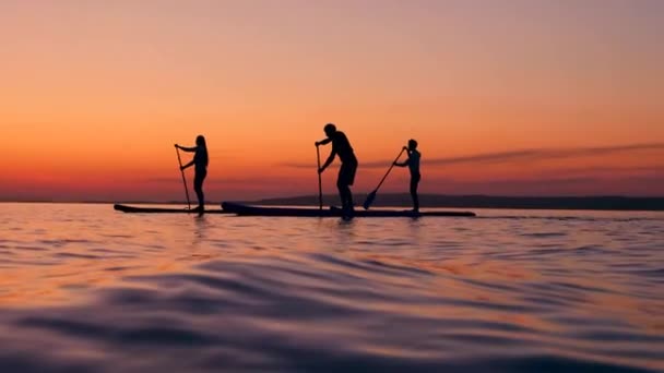 Αθλητές paddleboarding στο ποτάμι το βράδυ. — Αρχείο Βίντεο