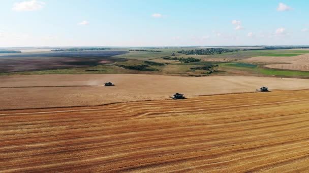 Landmaschinen fahren auf ein Feld mit Kulturpflanzen. — Stockvideo