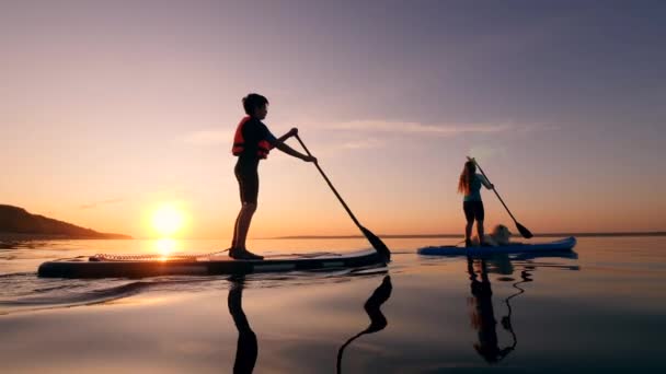 Atletas paddleboarding com um cão em um rio . — Vídeo de Stock