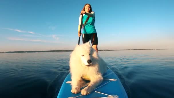 Um cachorro latindo enquanto vai em uma prancha de surf com a mulher . — Vídeo de Stock