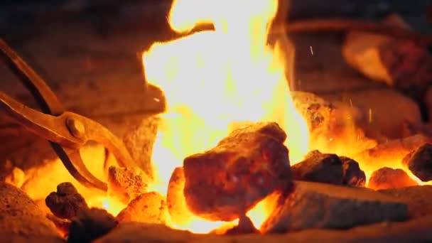 Primo piano del fuoco e carboni ardenti al rallentatore — Video Stock