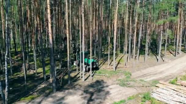 Woods harvesting site with a working machine on it. Deforestation, forest cut concept. — Stock Video