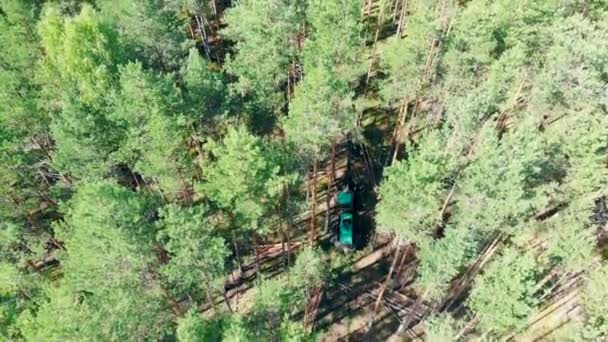 Top view of the woods getting chopped by the harvester. Deforestation, forest cut concept. — Stock Video