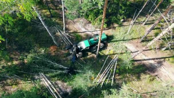 Top view of the harvested woods getting chopped by the vehicle. Forest, tree logging, aerial view. — Stock Video