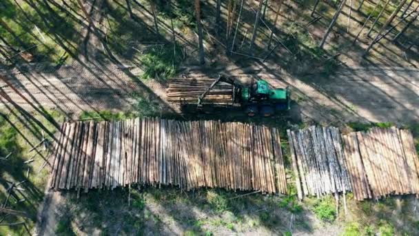 Camión industrial está descargando madera aserrada en una vista desde arriba. Bosque, tala de árboles, vista aérea . — Vídeos de Stock