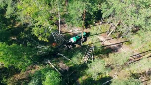 Збиральна вантажівка обробляє ліс з висоти — стокове відео