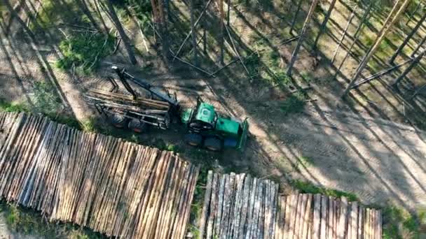 Vista de cima das árvores cortadas sendo descarregadas mecanicamente. Floresta, extração de árvores, vista aérea . — Vídeo de Stock