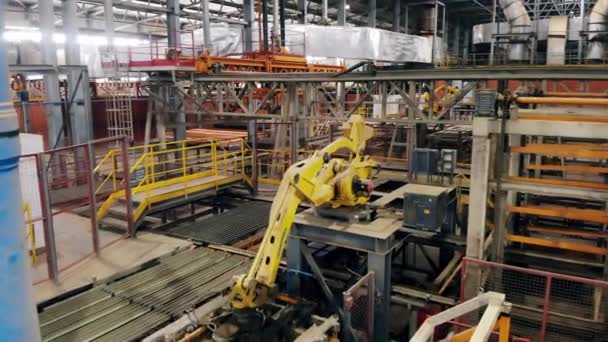 Robotarm vervoert producten in een moderne fabriek. — Stockvideo