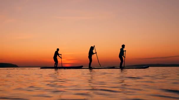 Drie atleten trainen met paddleboards op zonsondergang achtergrond. — Stockvideo