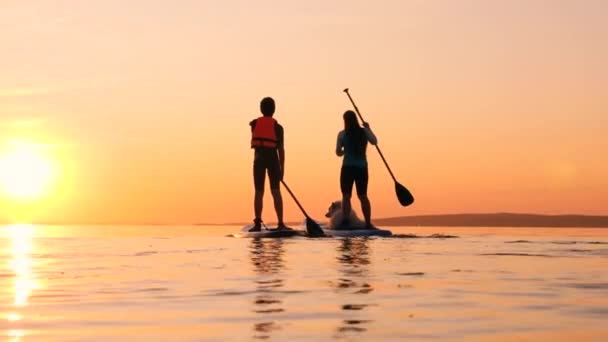 Two athletes supping on water on a sunset background. — Stock Video