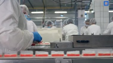 Yiyecek işleme fabrikası üretim hattı. Kadın çalışanlar tarafından yürütülen balık ürünlerinin nakliyesi
