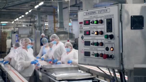 Çalışanlarla birlikte balık işleme fabrikası. Gıda üretim fabrikası üretim hattı. — Stok video
