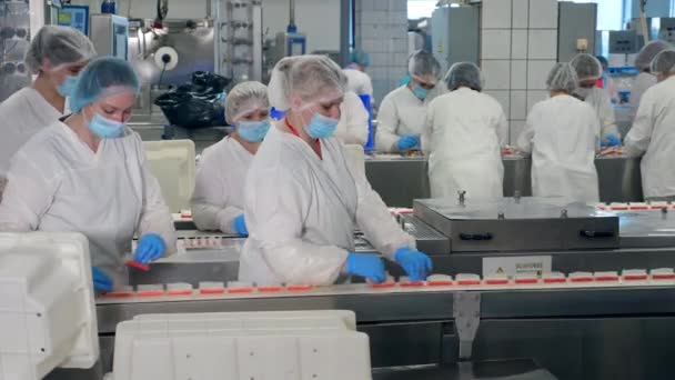 Processing of fresh crab sticks held by female technicians — Stock Video