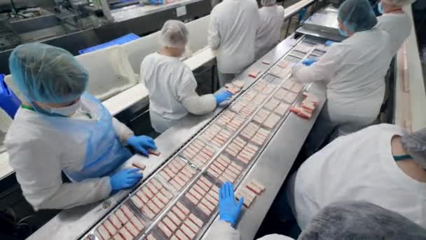 Industrial employees are processing fish products. Factory Workers Assembling products. — Stock Footage Industrial employees are processing fish products. Factory Workers Assembling products. Royalty Free Stock Footage