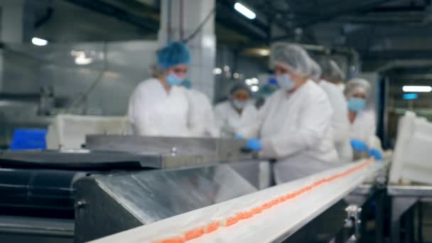 Εργάτες αφαιρούν προϊόντα ψαριών από τον μεταφορέα. — Αρχείο Βίντεο
