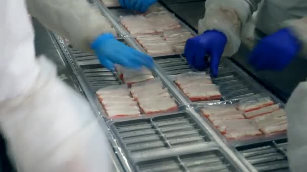 Processus d'emballage des produits du poisson. Ligne de production d'usine de transformation alimentaire . — Video