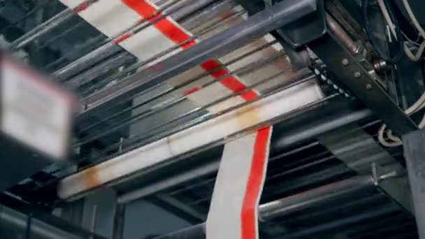 Factory transporter is moving a stripe of crab sticks material — Stock Footage Factory transporter is moving a stripe of crab sticks material Royalty Free Stock Footage