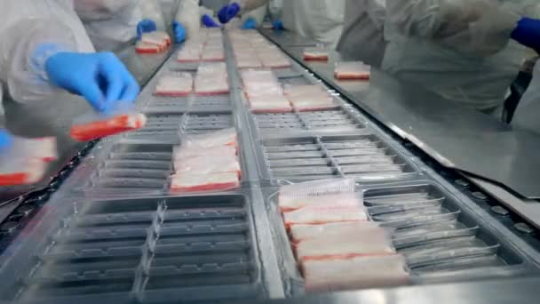 Crab sticks are getting put into plastic plates by the workers — Stock Footage Crab sticks are getting put into plastic plates by the workers Royalty Free Stock Footage