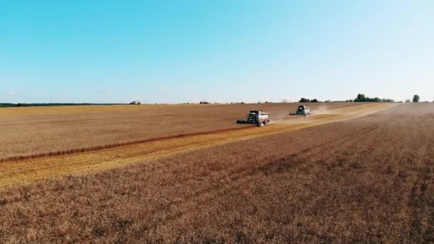 Combinaisons agricoles travaillant sur un champ, labourant des cultures. Concept de récolte des cultures .