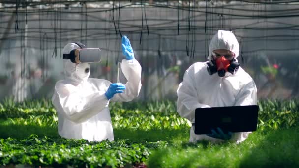 Botânicos usam óculos VR enquanto trabalham com plantas . — Vídeo de Stock