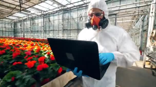 男性農学者は温室内を歩きながらノートパソコンで作業します. — ストック動画