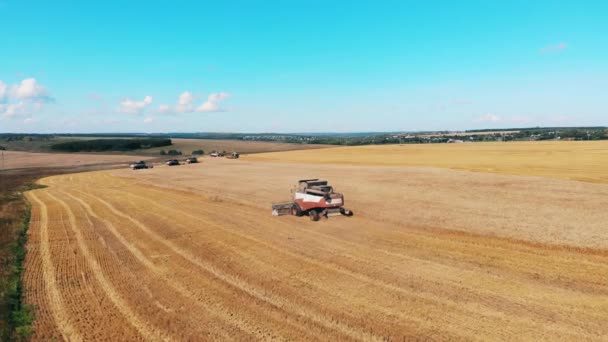 La cosechadora arada el campo. 4K — Vídeos de Stock