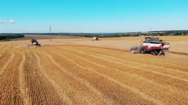 Maszyny rolnicze zbierają pszenicę w świetle słonecznym — Wideo stockowe