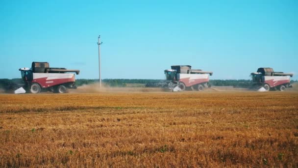 Les moissonneuses-batteuses industrielles se déplacent en ligne le long des champs 
