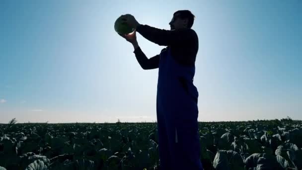 Agricultor, granjero está levantando la col y mirándola — Vídeo de stock