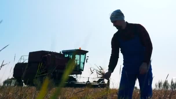 Agrotechnik pozoruje chuchvalec pšenice. — Stock video