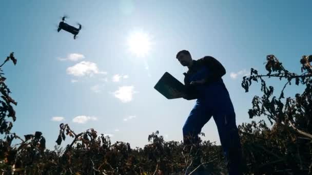 Manlig agronomen driver en drönare från laptop — Stockvideo