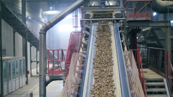 Tanaman konveyor memindahkan puing-puing di fasilitas . — Stok Video