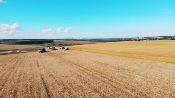 Gyllene fält och skördemaskiner rider längs den — Stockvideo