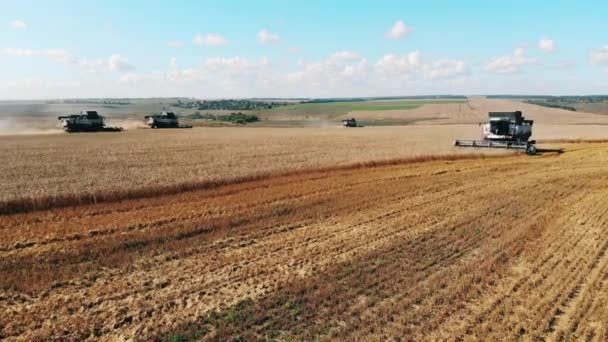 Le champ de seigle est cultivé par le transport agricole 